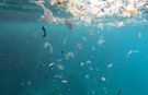 'Akdeniz'deki mikroplastik sorunu çözülmezse turizm sekteye uğrar'