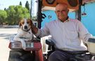 En güzel dostluk, aynı yolda yürüyenlerinki