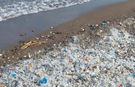 Mersin Çevre Platformu plastik atıkla mücadeleyi büyütüyor