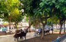 Mersin’de sıcak hava hayatın ritmini değiştirdi
