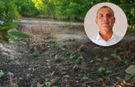 Silifke’de poyraz mahsulü vurdu
