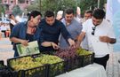 Para etmeyen üzümün festivalini yaptılar