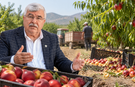 Ürün tarlada kaldı, üretici maliyetine satış yaptı