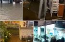İstanbul’a destek var, Mersinli esnaf beklemede!