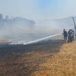 Balıkesir’deki arazi yangını kontrol altında