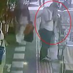 İş yerinin önünden papağanı çalarken kameraya yakalandılar