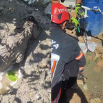 Mikserden dökülen betonda mahsur kalan yavru köpeği itfaiye kurtardı
