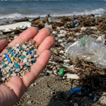 Akdeniz'de mikroplastik alarmı!