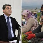 DEVA Partili Ekmen’den tarım işçileri için çağrı