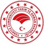 Evcil hayvanıyla yurt dışına çıkacaklara uyarı