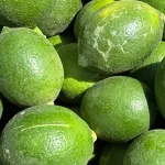 Erdemli'de limon üreticisinin gözü piyasada