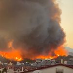 Muğla’da orman yangını