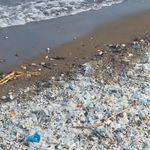 Mersin Çevre Platformu plastik atıkla mücadeleyi büyütüyor