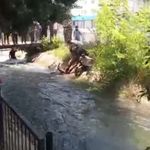 Tarsus'ta sulama kanalına düşen çocuk kurtarıldı