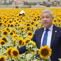 EKONOMİ