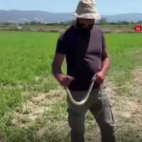 ÇEVRE