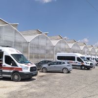 SAĞLIK