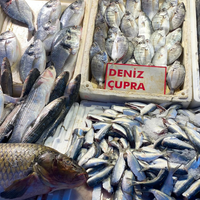 ÖZEL