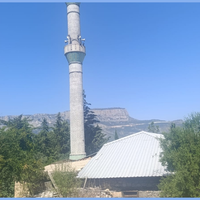 ÖZEL