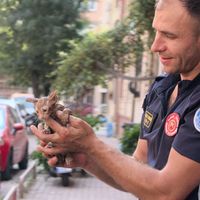 ASAYİŞ