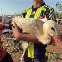 ÇEVRE