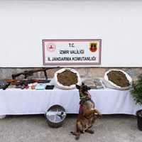 ASAYİŞ