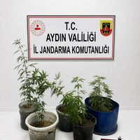 ASAYİŞ