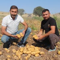 EKONOMİ