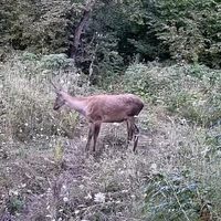 ÇEVRE