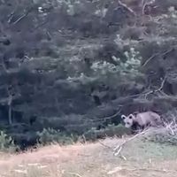 ÇEVRE