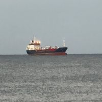 GÜNDEM
