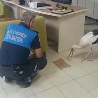 GÜNDEM