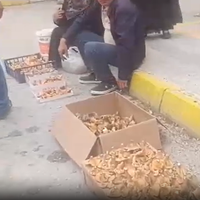 ÇEVRE