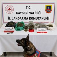 ASAYİŞ