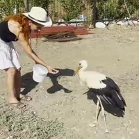 ÇEVRE