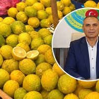 ÖZEL