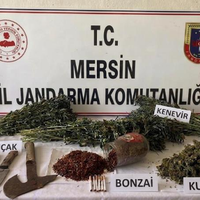 ASAYİŞ
