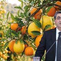 EKONOMİ