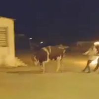 ÇEVRE