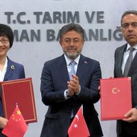 EKONOMİ