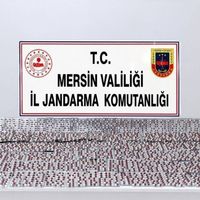 ASAYİŞ
