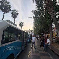 ÖZEL