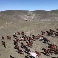 ÇEVRE