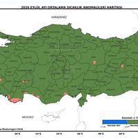 GÜNDEM