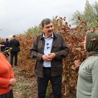 EKONOMİ