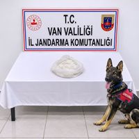 ASAYİŞ