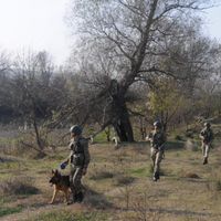 ASAYİŞ