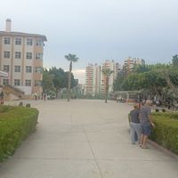ÖZEL