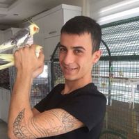 ASAYİŞ