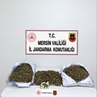 ASAYİŞ